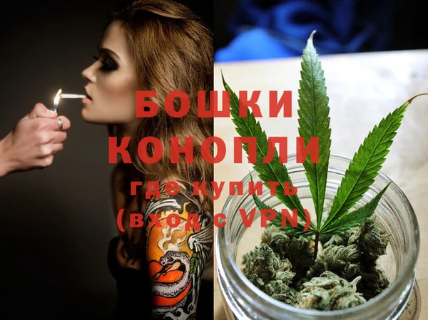 PSILOCYBIN Кондопога