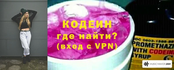 apvp Гусев