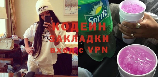 apvp Гусев