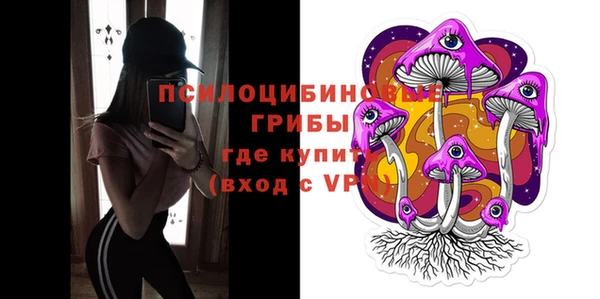 apvp Гусев