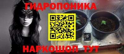 ALPHA PVP Кингисепп