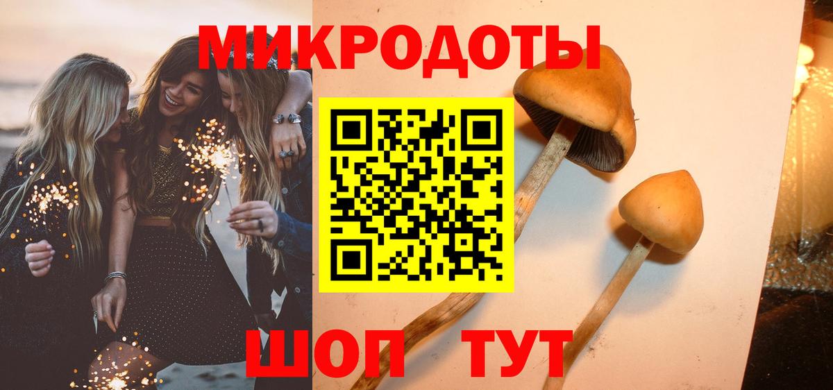 Псилоцибиновые грибы Psilocybe  Острогожск 
